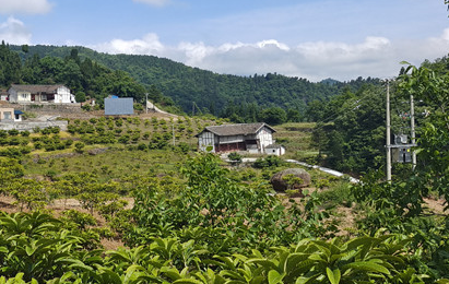 緊線器守護鄉村振興夢